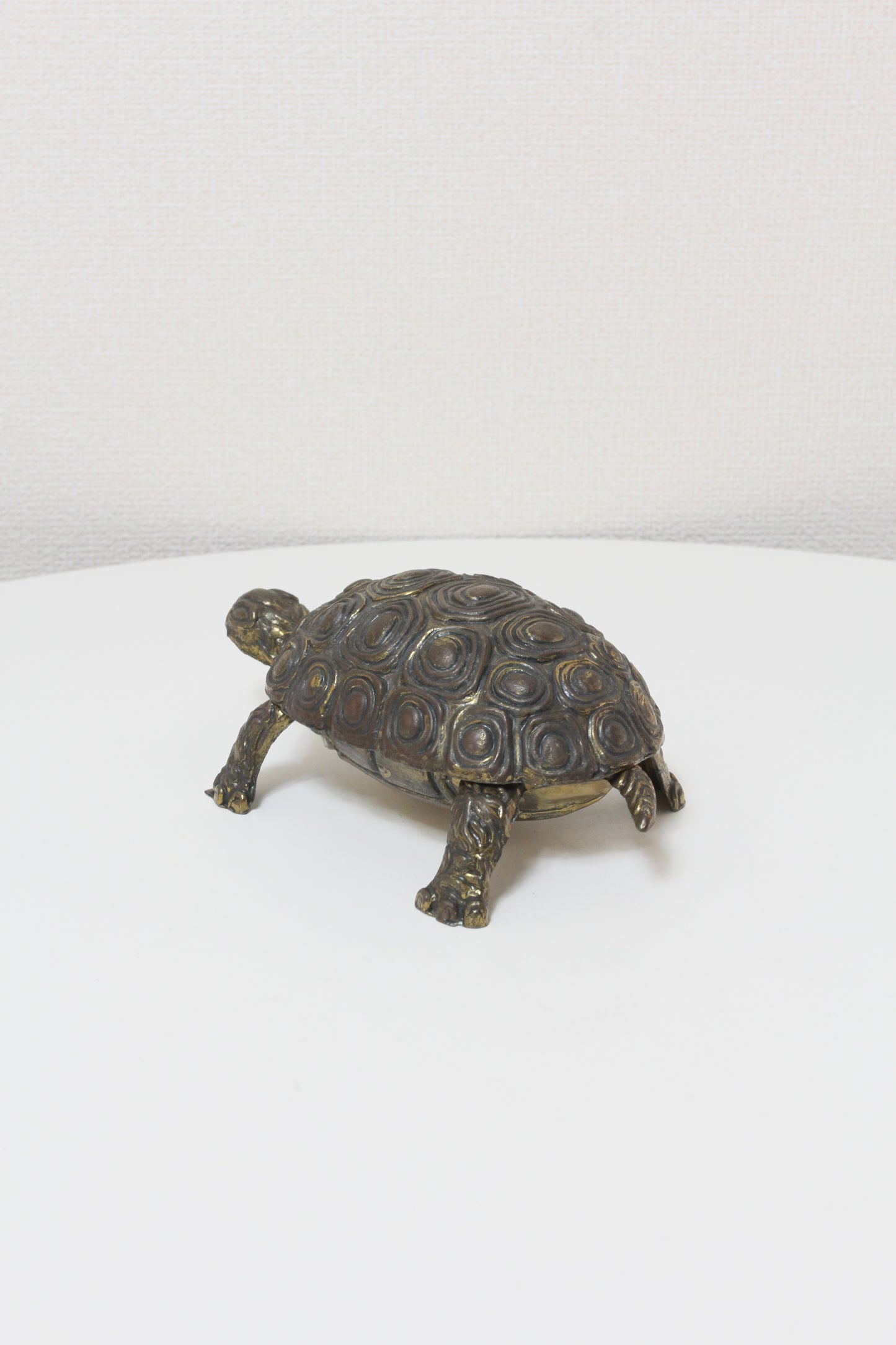 Turtle Object