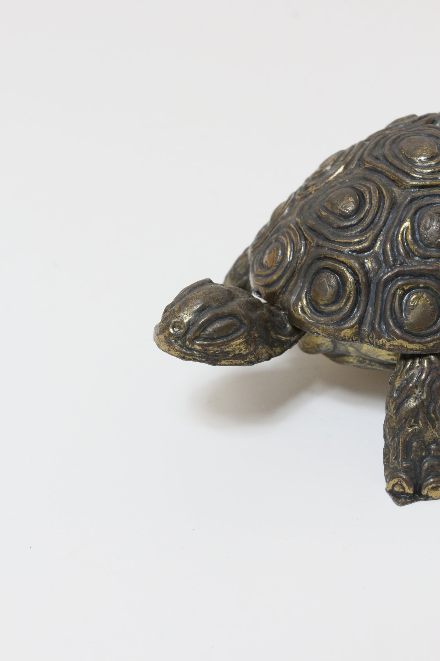 Turtle Object