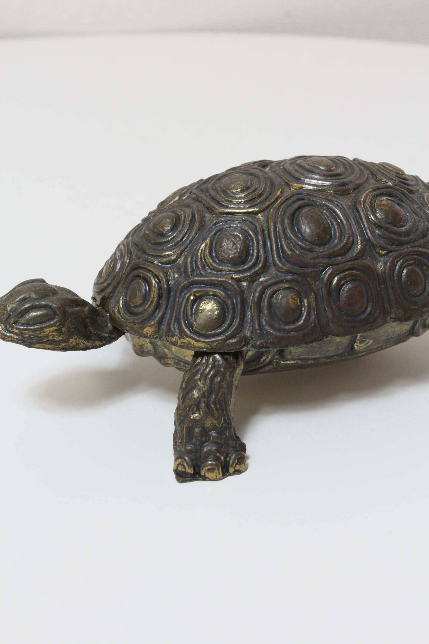 Turtle Object