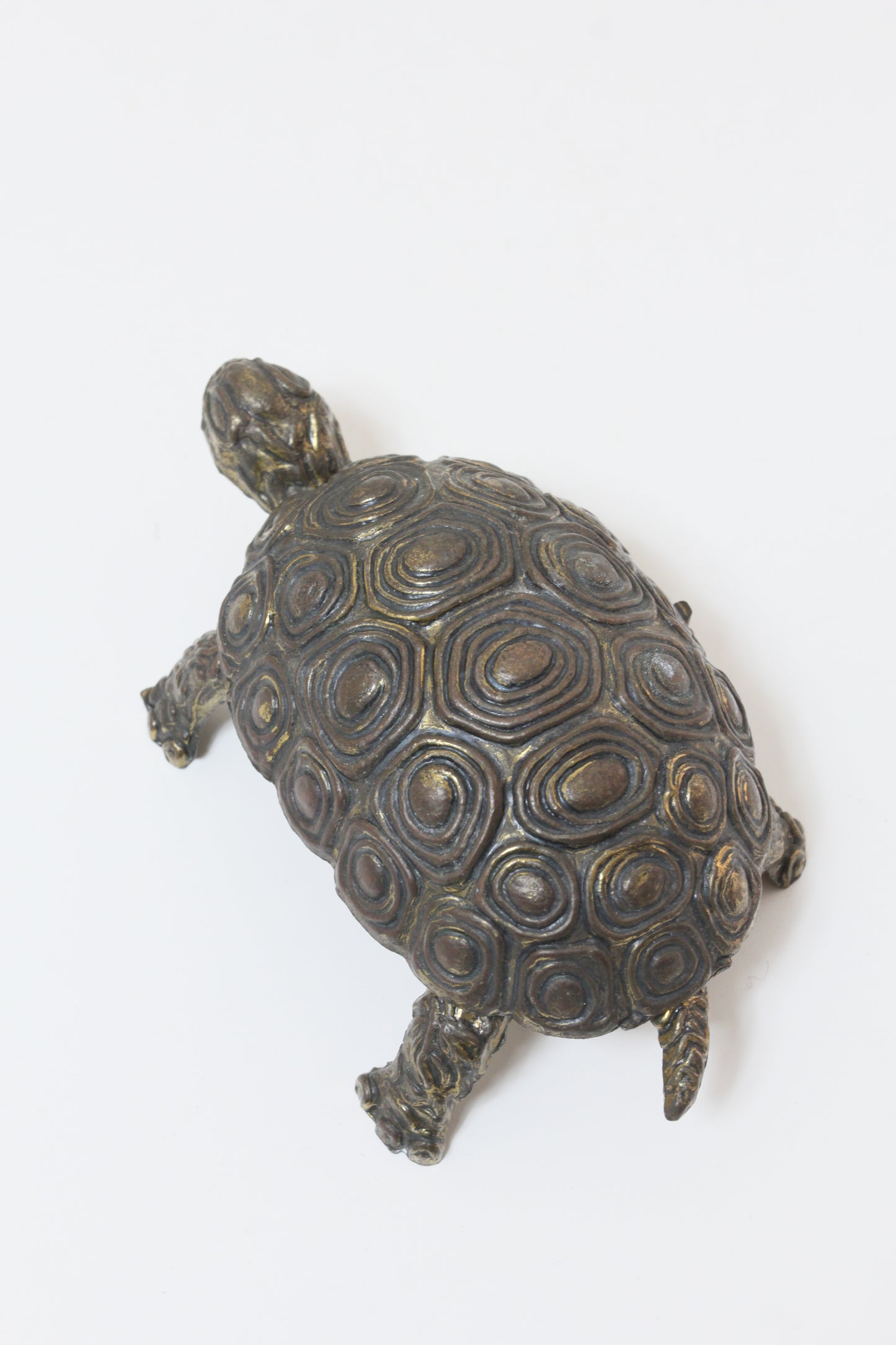 Turtle Object