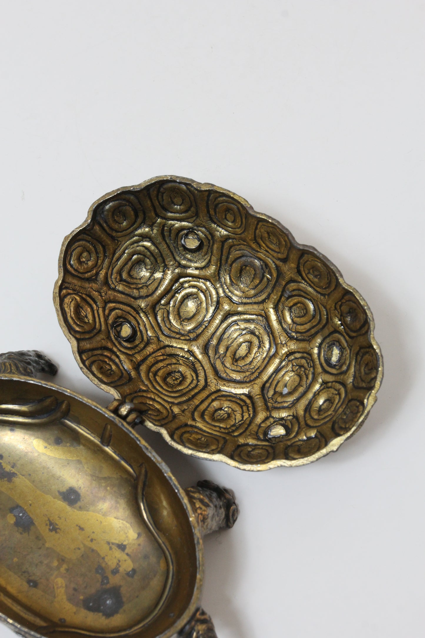 Turtle Object