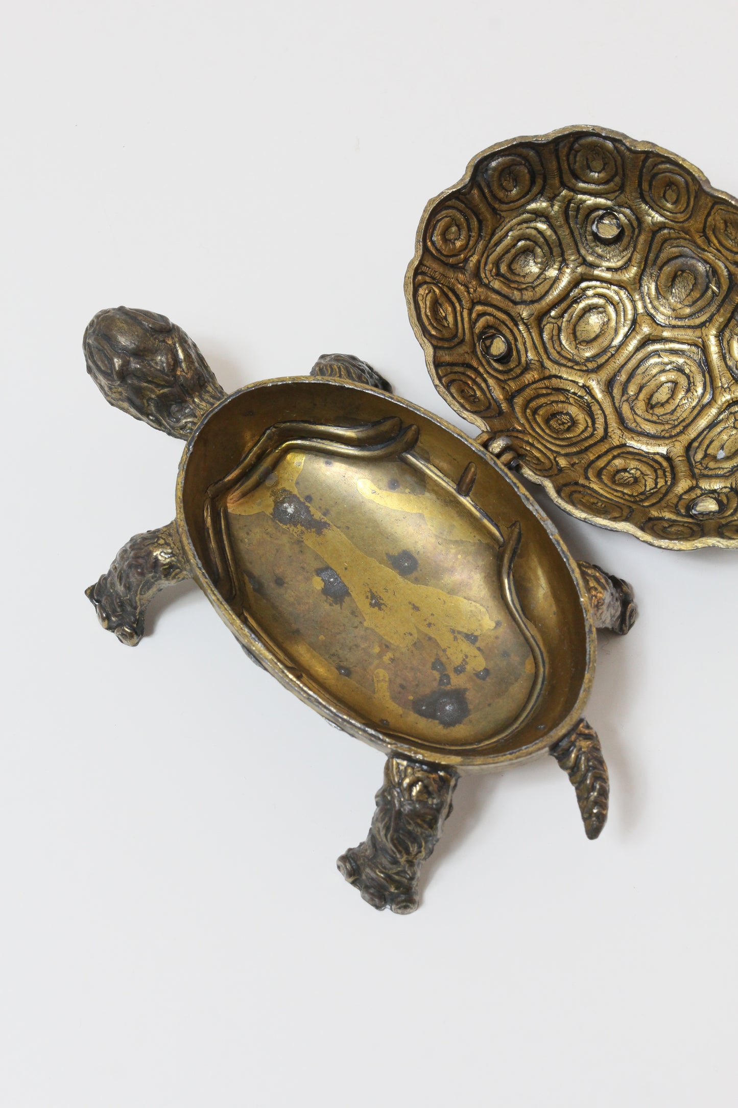 Turtle Object