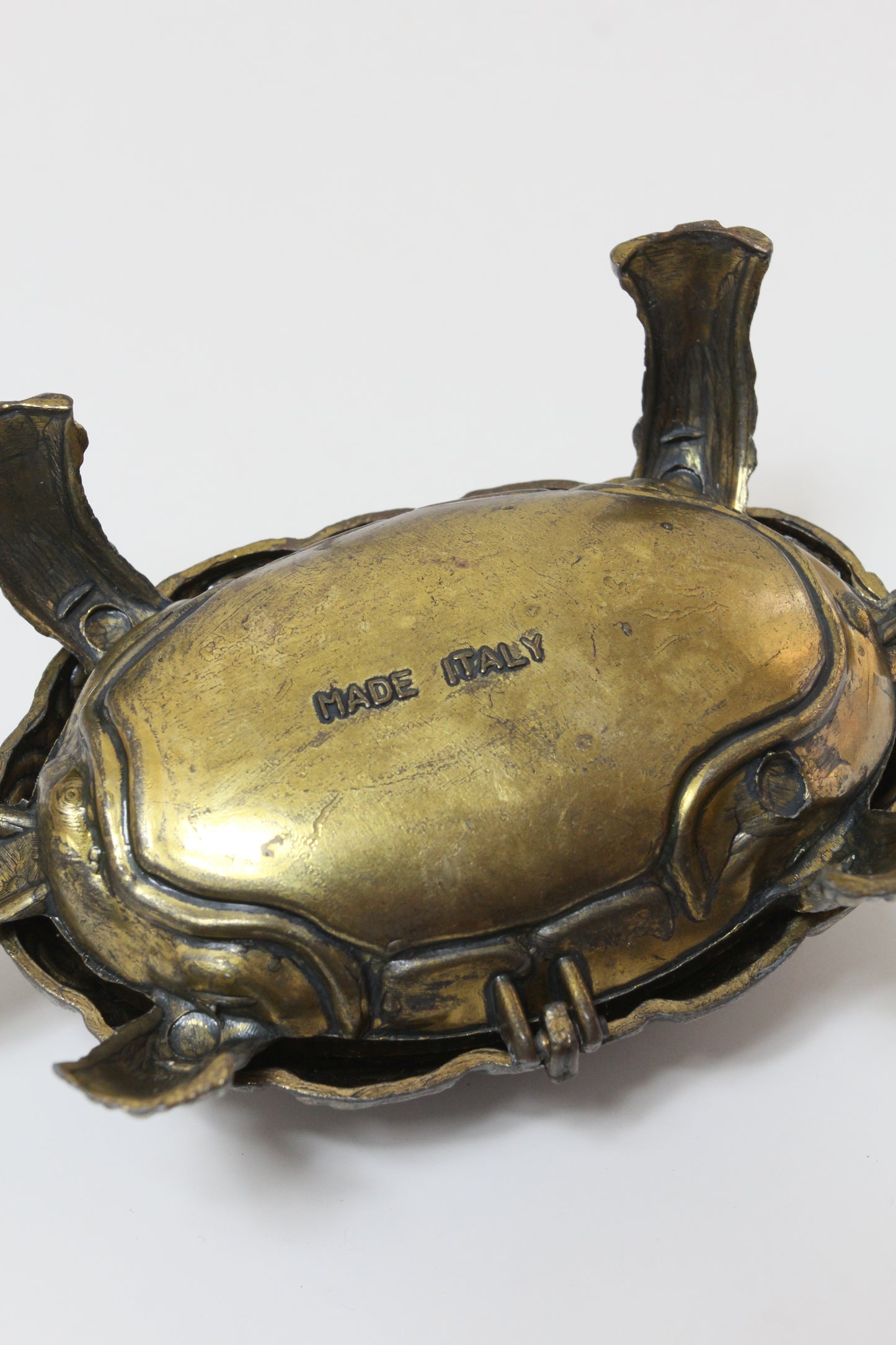 Turtle Object