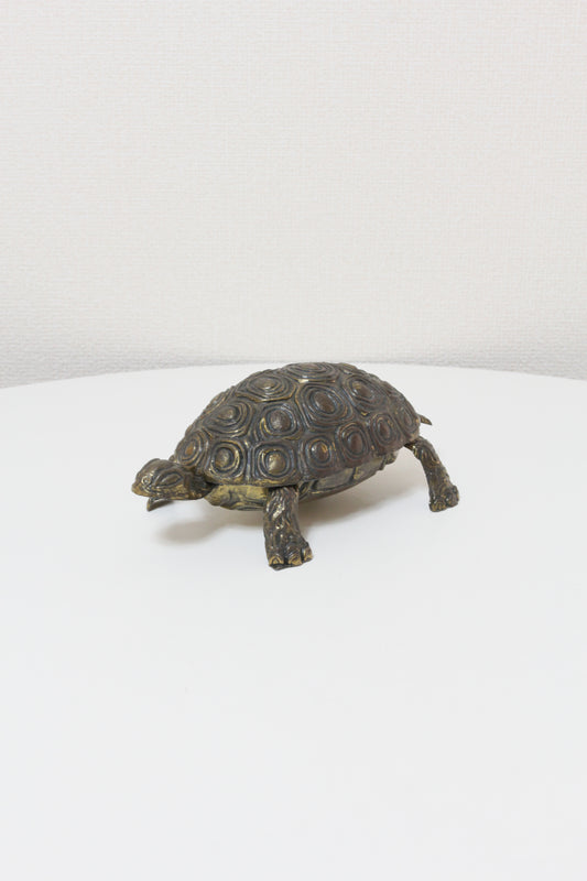 Turtle Object