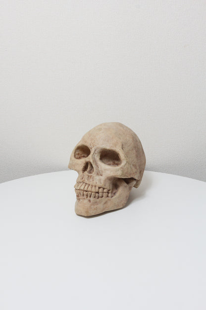 Skull Object