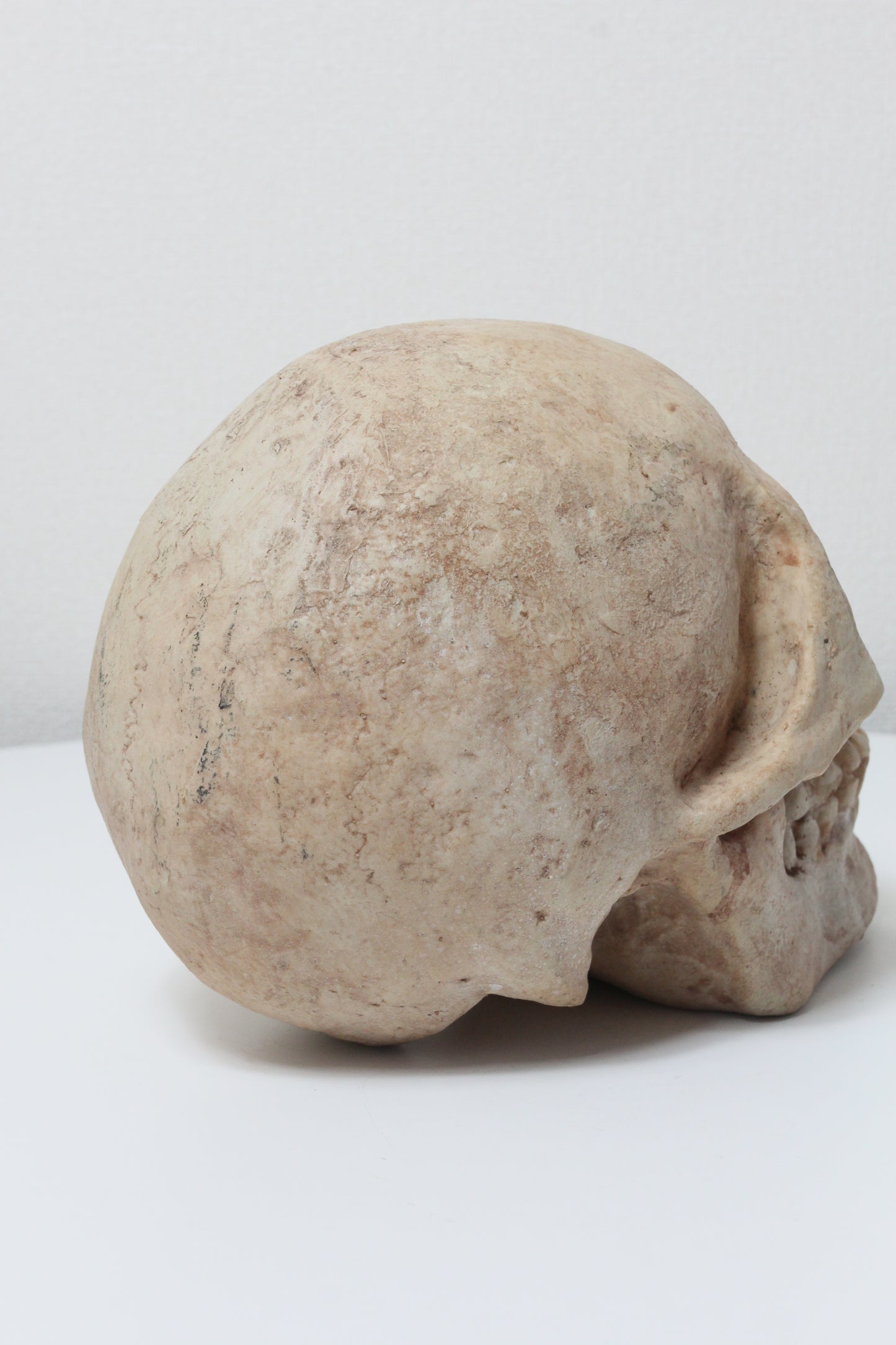 Skull Object