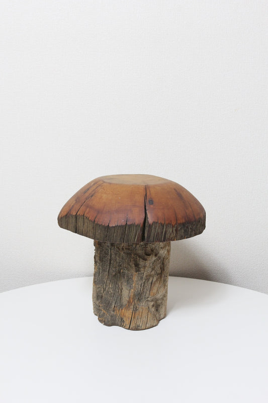 Mushroom Object