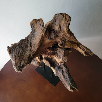 Driftwood Object